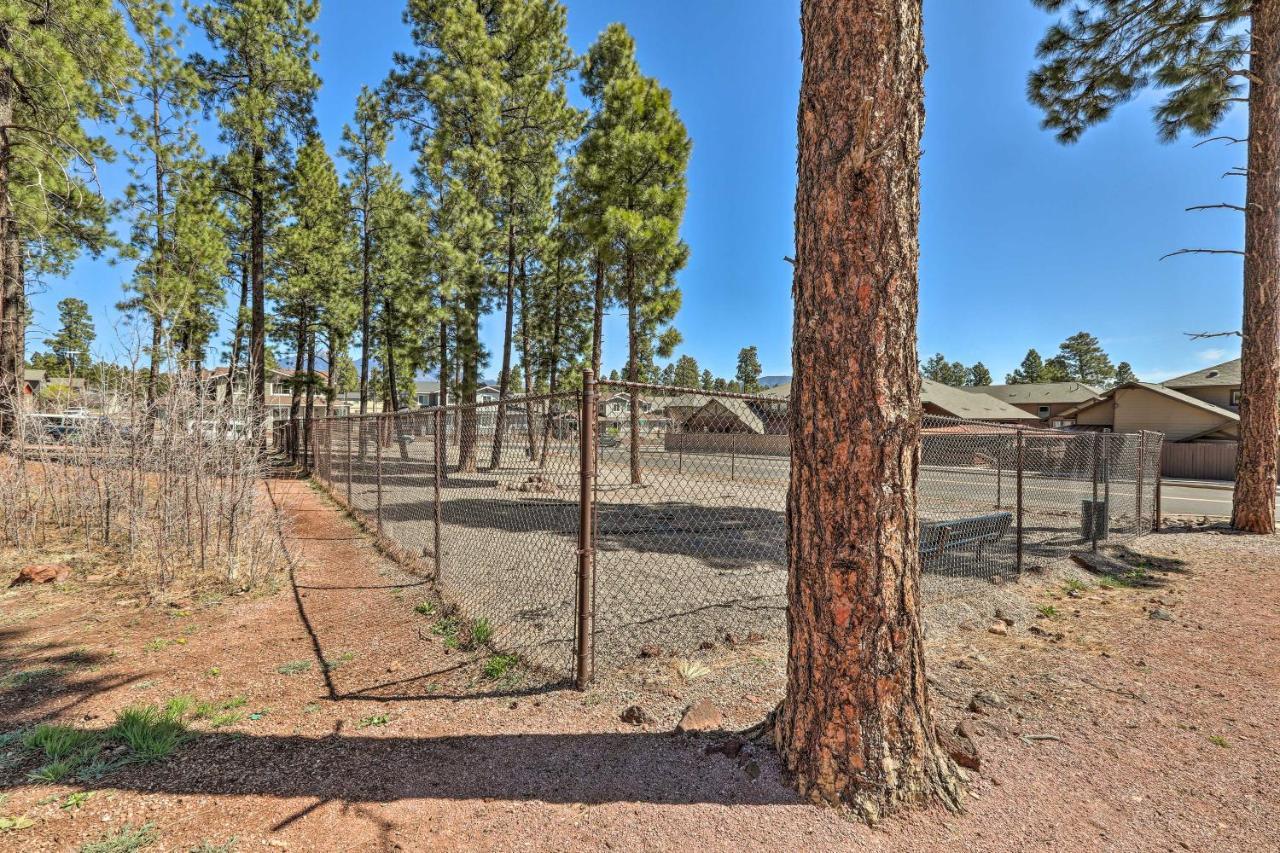 Modern Flagstaff Home, 4 Mi To Downtown! المظهر الخارجي الصورة